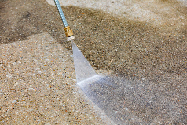 Best Driveway Pressure Washing  in Richnd, MO